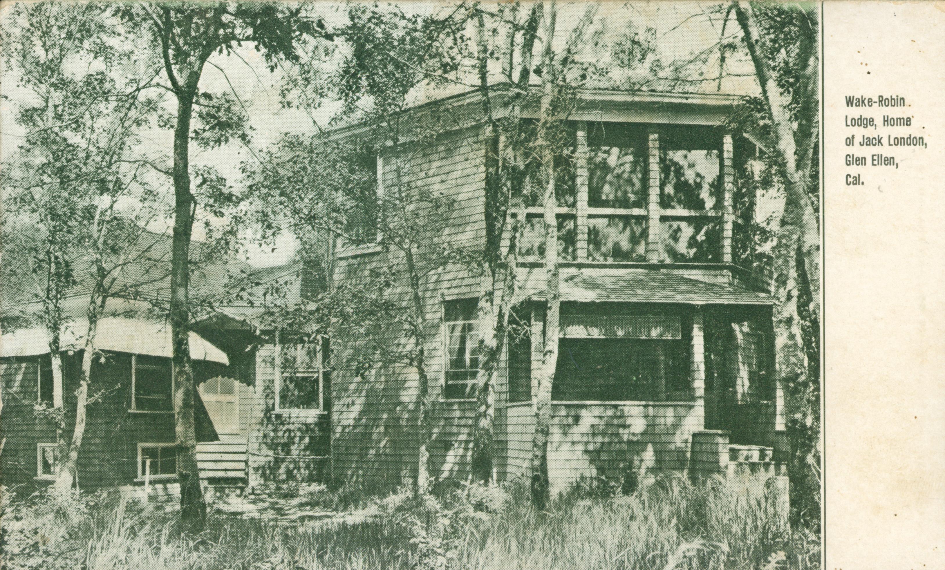 Shows a house surrounded by young trees